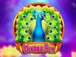 Double Fly thumbnail